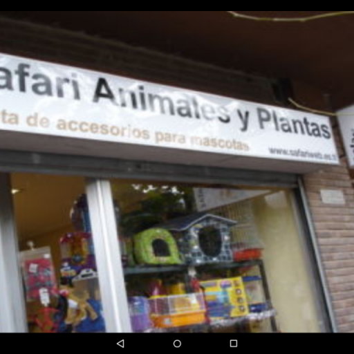 Safari Animales y Plantas