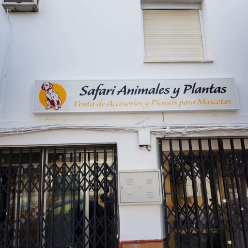 Safari Animales y Plantas