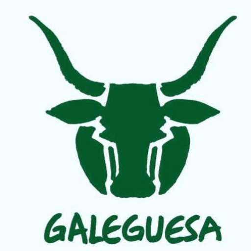 Galeguesa